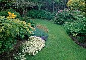 Rasenweg zwischen Beeten mit Rhododendron (Alpenrose), Saxifraga (Moossteinbrech)