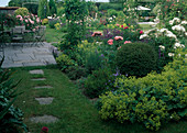 Blick auf Gartenanlage mit Beeten - Alchemilla mollis (Frauenmantel), Rosa (Rosen), Buxus (Buchs), Salvia nemorosa (Steppensalbei, Ziersalbei), Trittsteine im Rasen, Terrasse mit Sitzgruppe.