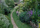 Narrow gravel path between lawn, perennials and woody plants: Geranium (Cranesbill), Lithospermum (Stone Seed)