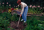Soil loosening with rake, wooden wheelbarrow, garden tools, summer flowers, vegetable beds