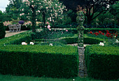Formaler Garten mit Buxus (Buchs), Rosa 'New Dawn', 'Queen Elisabeth', 'Lily Marlene'(Rosen) und Lavendel (Lavandula)