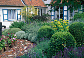 Bed with various shrubs and flower pots next to the swan pump