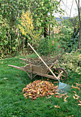 Foliage collapse, wooden wheelbarrow, leaf rake