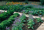 Mixed culture of vegetables, herbs and summer flowers