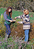 Women harvesting seeds of summer flowers