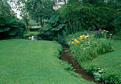 Lawn, stream, bed with Hemerocallis (daylilies), Iris (meadow iris), Primula florindae (summer primroses) and Hosta (hosta), Gunnera manicata (mammoth leaf)