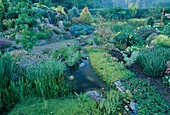 Water garden with iris, sedum, hemerocallis, view of rock garden with small waterfall, Gunnera manicata (redwood leaf)