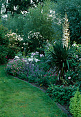 Blühendes Staudenbeet: Yucca gloriosa (Palmlilie), Rosa (Rosen), Nepeta (Katzenminze), Geranium (Storchschnabel), Campanula (Glockenblumen)