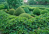 Formal garden with hedges, topiary shrubs