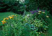 Hemerocallis (daylilies), Hosta (funcias), Iris (meadow iris), Primula florindae (summer primrose), Gunnera manicata (giant leaf) on the stream bank