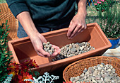 Plant box with autumn flowers. Fill in gravel as drainage layer