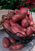 Rote Kartoffeln 'Les Rouges' im Korb auf dem Tisch