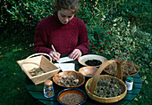 Harvesting seeds - labelling the seed bags
