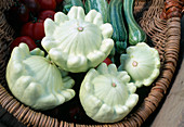 Cucurbita pepo 'Patisson collection' (Gartenkürbis), Ufokürbis, Squash