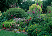 Sommerbeet mit Digitalis (Fingerhut), Oregano (Origanum vulgare), Euphorbia cyparissias (Zypressenwolfsmilch), Phlomis (Brandkraut), Tonfiguren als Deko