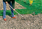 Soil preparation for sowing or planting raking