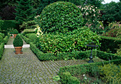 Formaler Garten eingefaßt mit Hecken aus Buxus sempervirens (Buchs), Vogeltränke, Prunus laurocerasus (Kirschlorbeer) u.Hydrangea (Hortensie), Weg gepflastert mit Granit-Kopfsteinen
