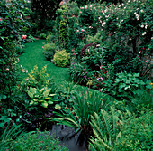 Handtuchgarten mit kleinem Teich, Kletterrosen, Hosta / Funkie, Spiraea japonica / Spierstrauch, Polystichum / Schildfarn
