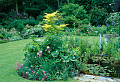 Gartenteich mit Nymphaea / Seerose, umpflanzt mit Dianthus / Nelke, Iris / Schwertlilie , Acer japonicum aureum / Gold-Ahorn