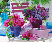 Rhododendron, Azalea, Syringa (Flieder)