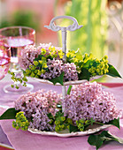 Ceramic tray with Syringa (lilac)