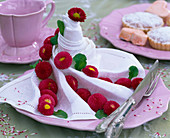 Bellis und weiße Serviette auf rosa Teller