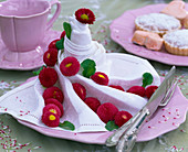 Bellis and white napkin on pink plate