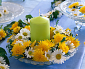 Plate wreath of dandelion flowers and shrub daisies