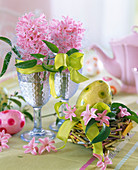 Hyacinthus (pink hyacinths)