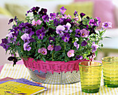 Basket with viola (4/4)