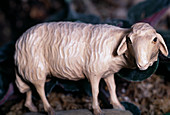 Nativity figurine: Sheep