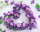 Heart of viola odorata (fragrance violet)