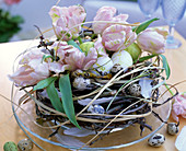 Easter nest with parrot tulips