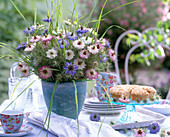 Nigella (maidenhair)