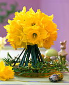 Narcissus (Daffodils)