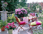 Roof terrace with rhododendron