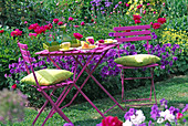 Pink garnish on bed with Geranium 'Johnsons Blue' (Cranesbill)