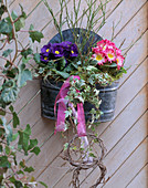 Tin bowl as wall container with Primula (cushion primrose), Hedera (ivy)