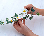 Daisies-Ivy-garland