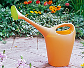 Orange Plastikgießkanne mit Gießbrause