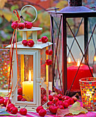 Laternen mit Kerzen, dekoriert mit Malus (Zieräpfel)