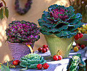 Brassica (ornamental cabbage), vegetable candle, Malus (ornamental apple)