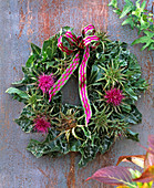 Wreath of Silybum marianum (milk thistle)