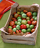 Lycopersicon (Tomate), grüne Tomaten in Holzkiste