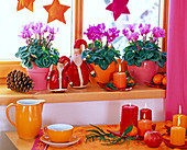 Christmas window sill with Cyclamen persicum