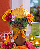 Chrysanthemum, Cucurbita, Hedera, Rubus