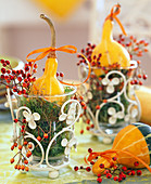 Cucurbita, Rosa, lanterns with moss as vases