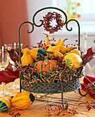 Metal basket with cucurbita (pumpkin), roses (rosehip)