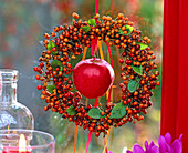 Wreath of Rosa multiflora, Malus on the red ribbon