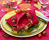 Rose, Ilex, mini garland on red napkin